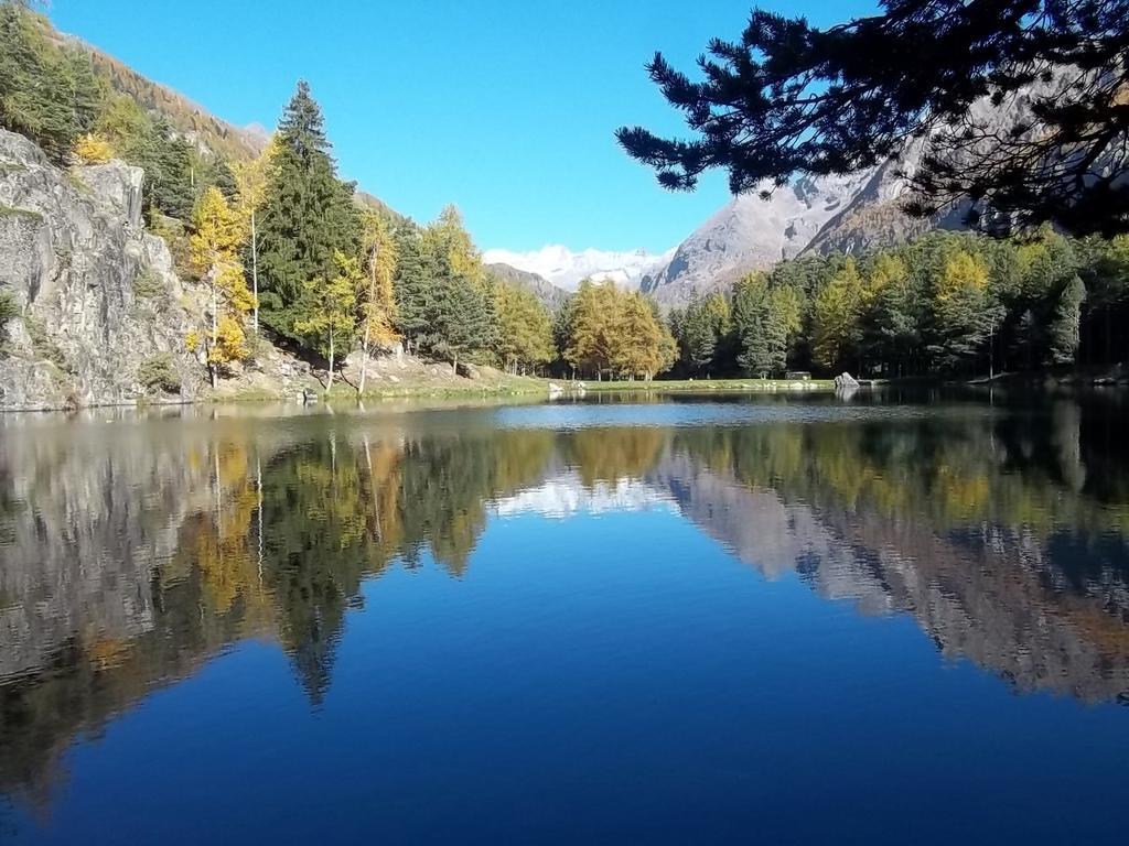 Albergo Valentino Bionaz المظهر الخارجي الصورة