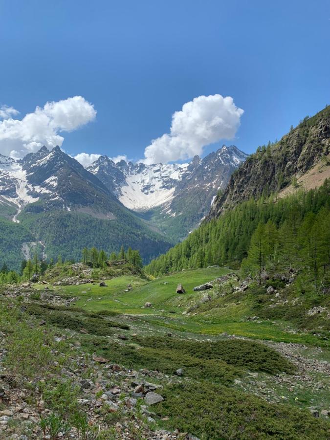 Albergo Valentino Bionaz المظهر الخارجي الصورة